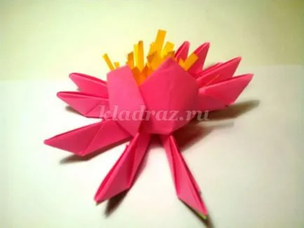 Lotus a művészet origami kezeddel (lépésről lépésre) Lotus az origami technikával saját kezűleg