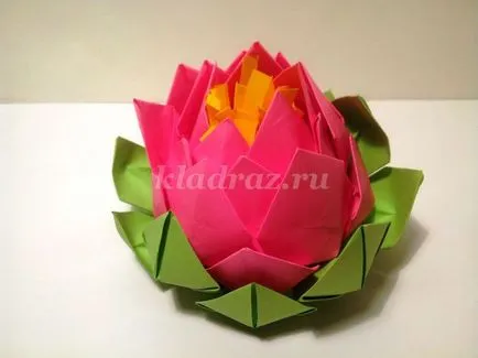 Lotus a művészet origami kezük (saját) Lotus az origami technikával saját kezűleg