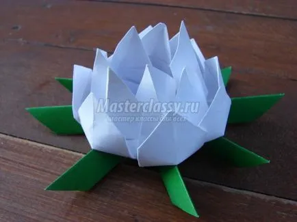 Lotus papír origami art