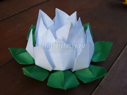 Lotus papír origami art