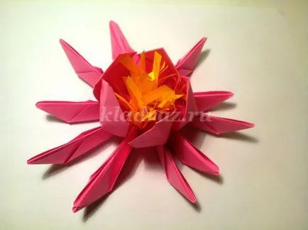 Lotus a művészet origami kezeddel (Lotus) Lotus az origami technikával saját kezűleg