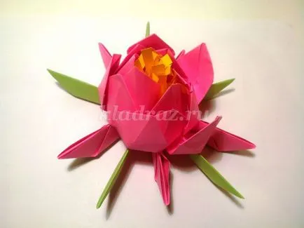 Lotus a művészet origami kezeddel (a technika) Lotus az origami technikával saját kezűleg