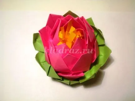 Lotus a művészet origami kezeddel (a mester) Lotus az origami technikával saját kezűleg