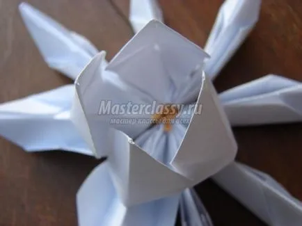 Lotus papír origami art