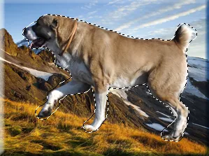 Maszk photoshop az ecsettel és átmenet