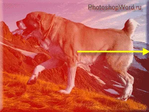 Maszk photoshop az ecsettel és átmenet
