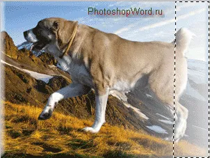 Maszk photoshop az ecsettel és átmenet