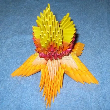 Moduláris origami 1