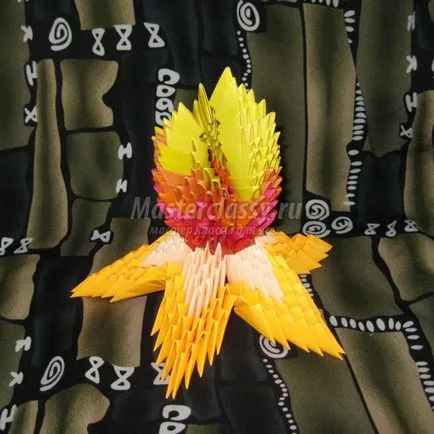 Moduláris origami 1