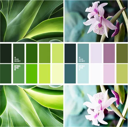 A világosság a szín, lookcolor