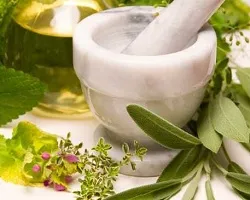 Népi jogorvoslati kezelésére allergiás rhinitis - kezelésére megfázás (étkezde) Népi jogorvoslati kezelésére allergiás rhinitis - orrfolyás kezelésére