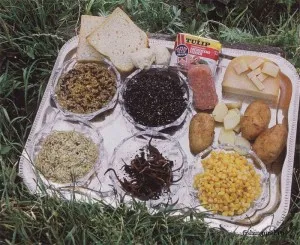 Mi fogni sügér 