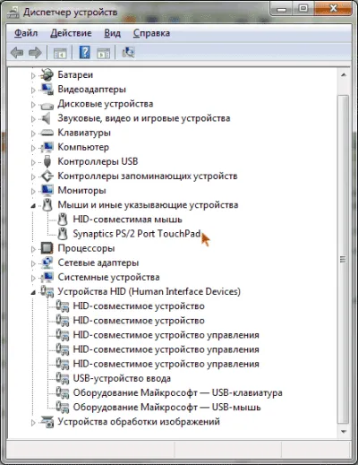 A laptop nem működik touchpad (Touch Mouse) - okok és mit kell csinálni
