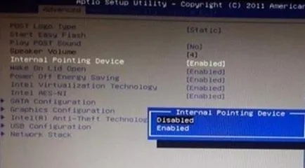 A laptop nem működik touchpad (Touch Mouse) - okok és mit kell csinálni