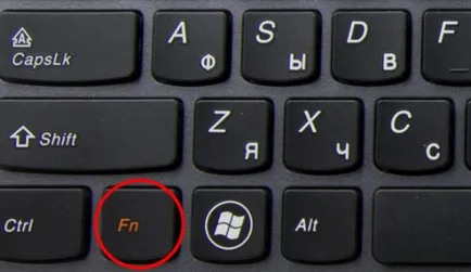 A laptop nem működik touchpad (Touch Mouse) - okok és mit kell csinálni