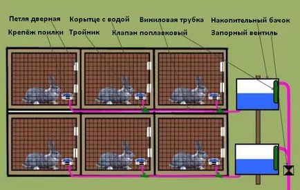 Itatókból nyulaknak szeretnék csinálni, fotók, videók, rajzok