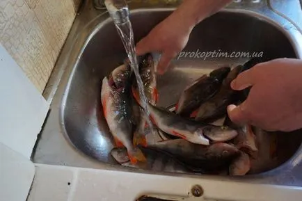 Perch füstölt - prokoptim