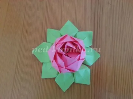 origami lótusz