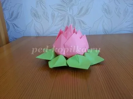 origami lótusz