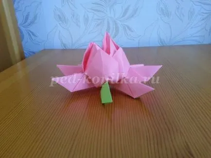 origami lótusz