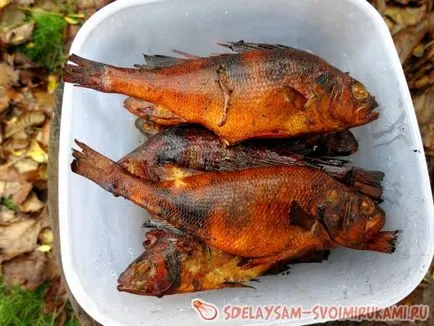 Perch füstölt, mesterkurzus saját kezűleg (dohányzás) Perch füstölt, mesterkurzus saját kezűleg