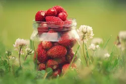 Frissítő arcmaszk otthon minden bőrtípusra (videó)