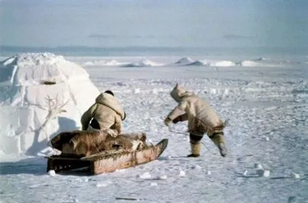 A frissítő üzenet vagy miért tűvel lehet építeni csak az eszkimók - Kuy (csak) A frissítő üzenet vagy miért tűvel lehet építeni csak az eszkimók - Kuy