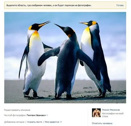 Mark képeken VKontakte