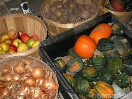 Pince a garázsban, hogyan kell ásni a pincében a kezüket (saját) Pince a garázsban, hogyan kell ásni a pincében a kezüket