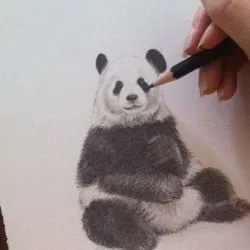 Tattoo panda tetoválás érték, 28 fényképek, vázlatok