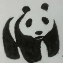 Tattoo panda tetoválás érték, 28 fényképek, vázlatok