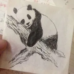 Tattoo panda tetoválás érték, 28 fényképek, vázlatok