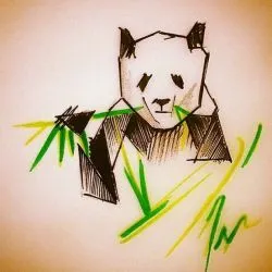 Tattoo panda tetoválás érték, 28 fényképek, vázlatok