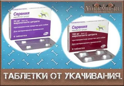 Motion betegség tabletta kutyák értékeléseket (tabletták) Motion betegség tabletta kutyák értékeléseket tabletta