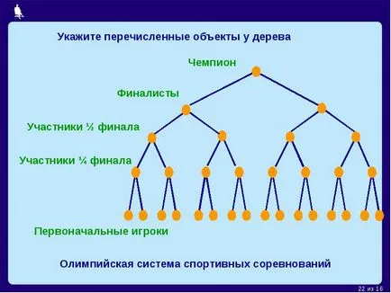 Reakcióvázlat diagram ábrázolás az objektum közös, annak fő jellemzői, szimbólumokat (fő) Reakcióvázlat reakcióvázlat egy egy tárgy ábrázolásának általában, a fő jellemzői szimbólumokkal