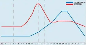 A megnövekedett hipertonicitás myometrium terhesség alatt, a hátsó falon (fal) Fokozott hipertonicitás méhizomzat a terhesség alatt, a hátsó falon