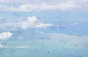 Okai lebegő fekete pontok a szem (belső betegségek) Okok lebegő fekete pontok a szem