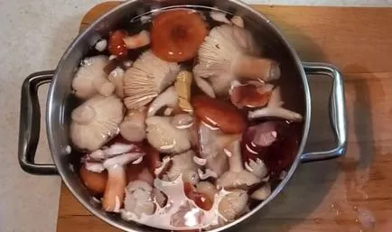 Előállítás syroezhek fotó és videó-receptek, hogyan kell főzni a gombát a betakarítás után