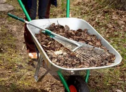 Készítsünk humusz az országban egy gyorsított technológiával, mi áll