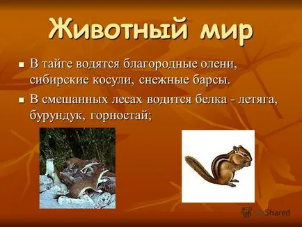Előadás erdőterület van osztva zóna tajga övezet vegyes lombhullató erdő övezet (széles levelű) Előadás erdőterület van osztva zóna tajga övezet vegyes lombhullató erdő terület