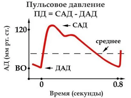 Pulse nyomás - ez az egyik legfontosabb mutatója az állam a test
