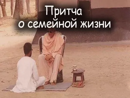 A történet az, hogy hangya haza siet, érdekes és hasznos