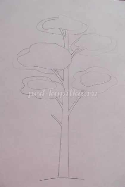 Pine Akvarell óvodás állapotok fotókkal