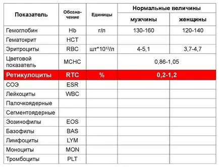 A retikulociták megemelkedik felnőtteknél