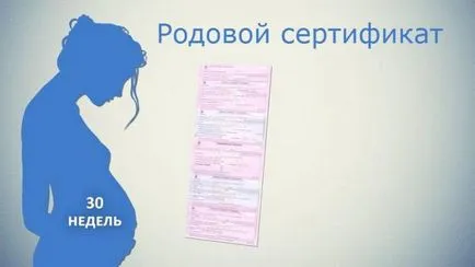 Születési anyakönyvi kivonat, amely így, miután a kórházból való kikerülés (igazolás) Születési anyakönyvi kivonat, amely így, miután a kórházból való kikerülés