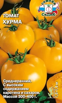 Paradicsomfajta datolyaszilva leírás fotókkal, vélemények