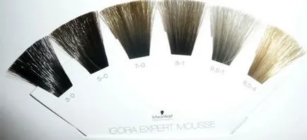 Élénkítő alakformálás mousse Igora szakértő mousse, Schwarzkopf Professional (mousse) Élénkítő alakformálás mousse Igora szakértő mousse, Schwarzkopf Professional