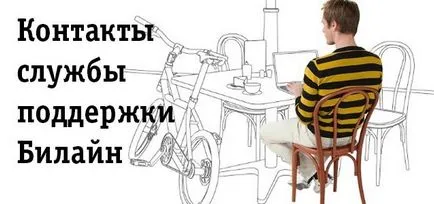 Support Beeline, elérhetőségeink