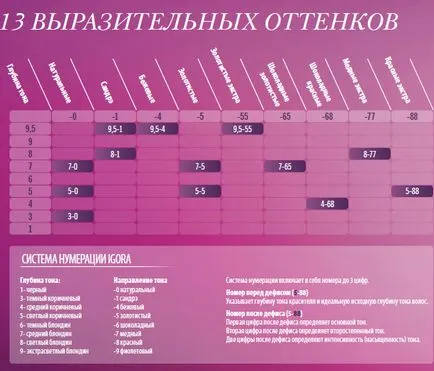 Élénkítő alakformálás mousse Igora szakértő mousse, Schwarzkopf Professional (Schwarzkopf) Élénkítő alakformálás mousse Igora szakértő mousse, Schwarzkopf Professional