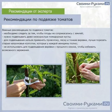 Paradicsom datolyaszilva jellemzése és leírása a fajta - a részletekért! (Grade) Paradicsom datolyaszilva jellemzése és leírása a fajta - a részletekért!